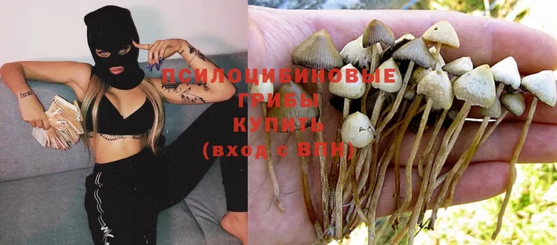 mega онион  Кисловодск  Галлюциногенные грибы Magic Shrooms 